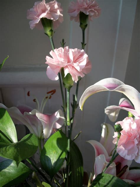 Flowers are the most common gems that beautify the physical world. Writing Straight from the Heart: Need Some Joy? Buy ...