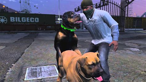 Gta 5 Funny Chop The Dog Doggystyle Youtube