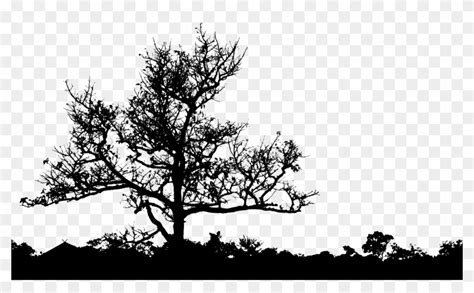 Graphic Free Clipart Leafless Tree Silhouette Big Image