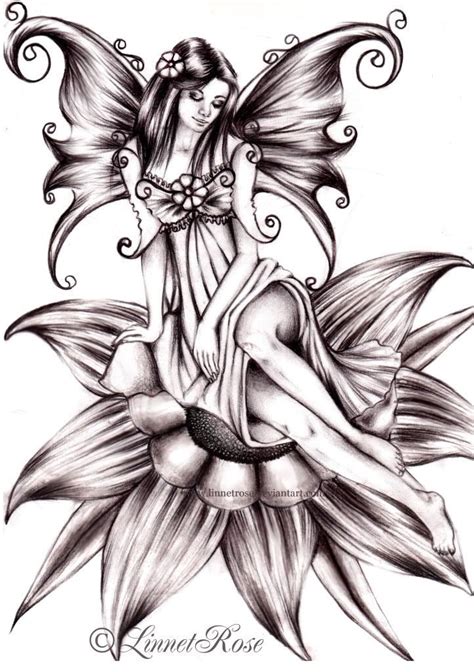 Image Result For Fairy Drawings Fairy Drawings Fairy Tattoo Fairy