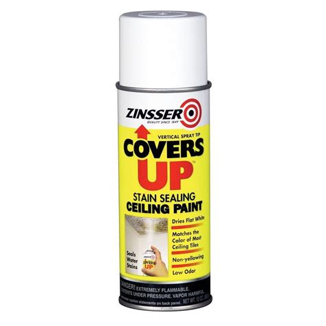 Zinsser Covers Up 13 Oz White Ceiling Spray Paint And Primer In One 6