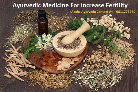 Ayurvedic Medicine Increase Fertility In Men And Women Aasha Ayurveda Herbs For Fertility