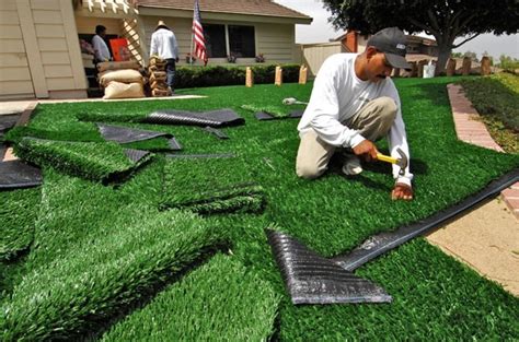 Because their internal organs are still developing, their immune systems provide less protection than those of adults do, and their excretory systems may not fully remove. Tools needed for D.I.Y. Synthetic Grass Installation - Artificial Turf Express