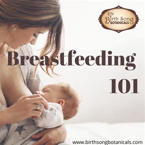 Breastfeeding 101 Best Breastfeeding Practices Birth Song Botanicals Co