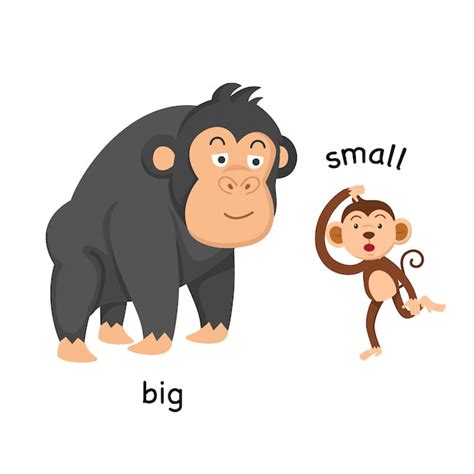 Opposite Big And Small Vector Illustration Premium Vector 9918 The