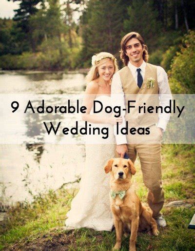 Adorable Dog Friendly Wedding Ideas Weddingmix