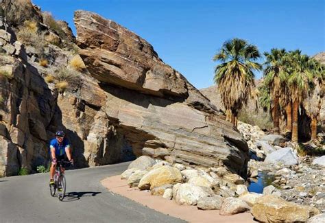 Californias Palm Springs And Joshua Tree Multi Adventure Tour In 2023