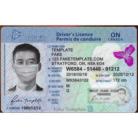 Ontario Drivers License Template Free High Quality Fake Template
