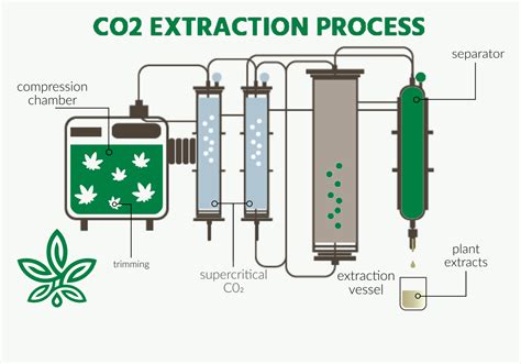 What Is Co2 Extraction Cbd 27f Chilean Way