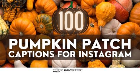 100 Cute Pumpkin Patch Captions For Instagram With Quotes