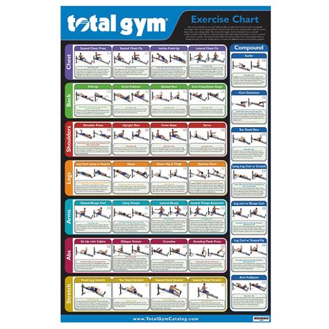 Total Gym Exercise Wall Chart Home Workout Coach In 2021 Workout