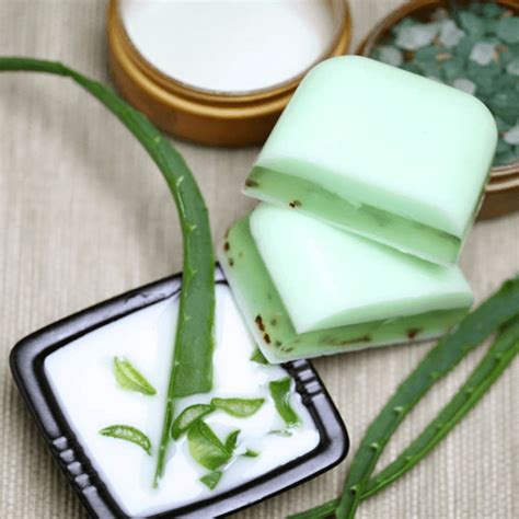 Get Softer Skin And Clear Acne With Handmade Aloe Vera Soap