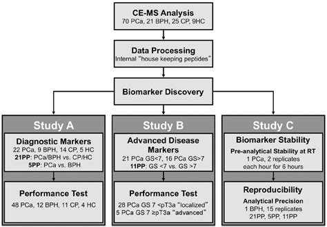 Flow Chart Of Study Design For Biomarker Discovery In Total 125