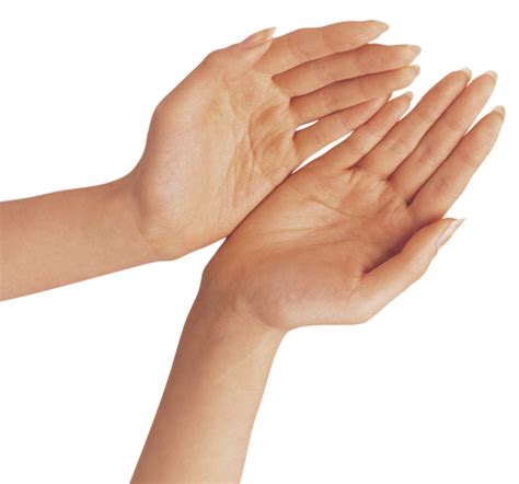 Hand Png