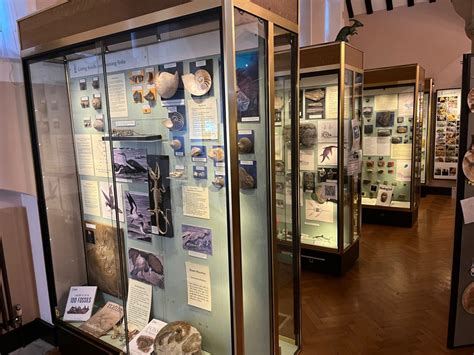 A Visit To The Natural History Museum In Eton