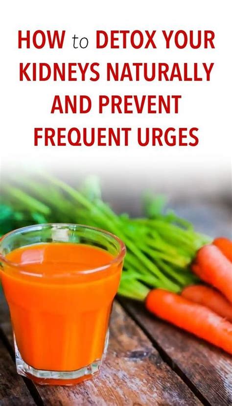 How To Detox Your Kidneys Naturally And Prevent Frequent Urges Your