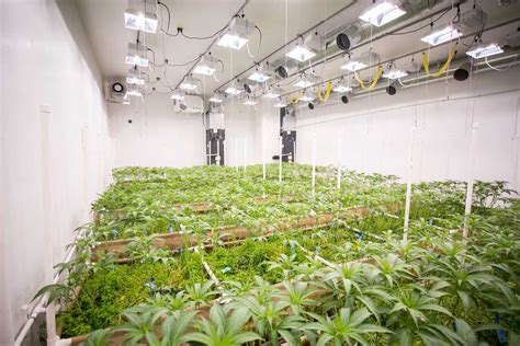 Cannabis Grow Facility Studio E Architecture