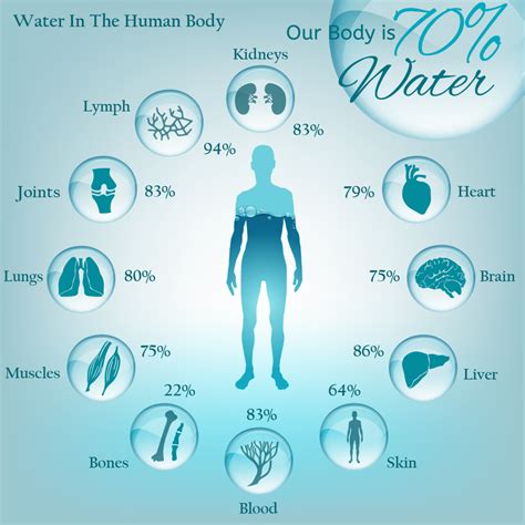 Body composition varies according to gender and fitness level because fatty tissue contains less water than lean tissue. Water - Radiesthesia Online