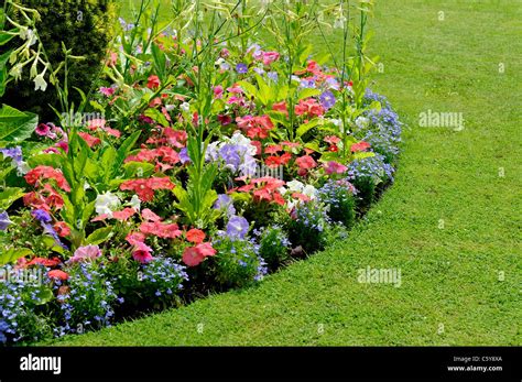 Flower Bed In English Country Garden Wollaton Park Nottingham England