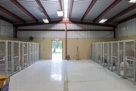 Dog Kennel Buildings Are The Ideal Low Cost Low Maintenance Solution