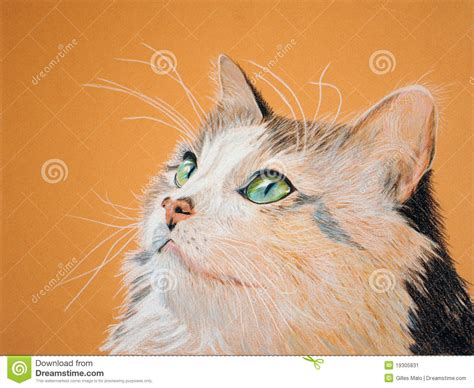 Painting Of A Beautiful Cat Stock Illustration