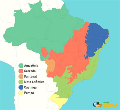 O Que Um Bioma Brasileiro Novo Informa Es De Arte