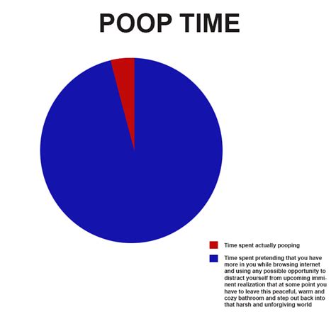 This Poop Time Pie Chart Was Definitely Created By Someone Who Knows