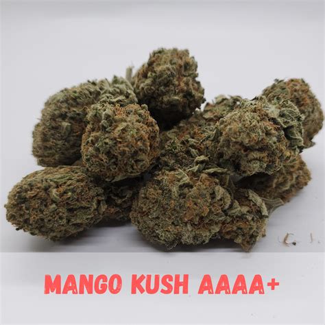 Buy Mango Kush Aaaa 22 Thc Cannabis Online In Canada Local Delivery