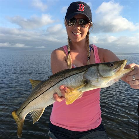 Tampa Bay Inshore Slam Tampa Fishing Charters