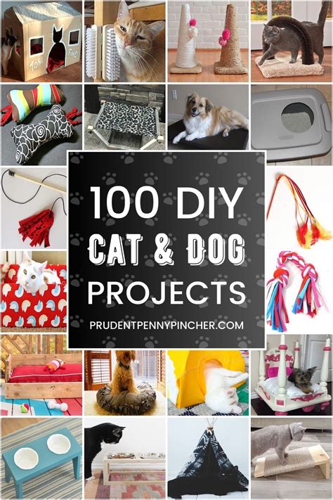 100 Cheap And Easy Diy Pet Ideas Prudent Penny Pincher