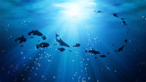 Deep Ocean Hd Wallpapers Top Free Deep Ocean Hd Backgrounds