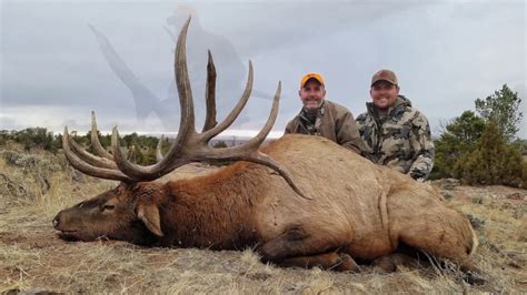 Giant Wyoming Bull Elk Hunt 2016 Heartbreaker Youtube