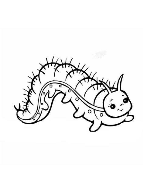 Simply click on each picture to be taken to a printable pdf. Free Caterpillar coloring pages. Download and print ...