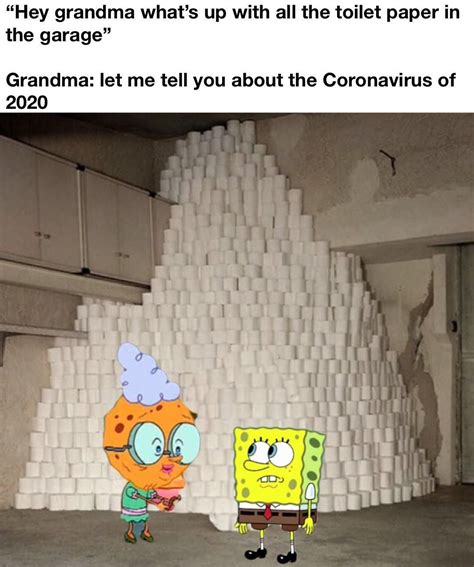 Story Time Rbikinibottomtwitter Toilet Paper Hoarding Funny