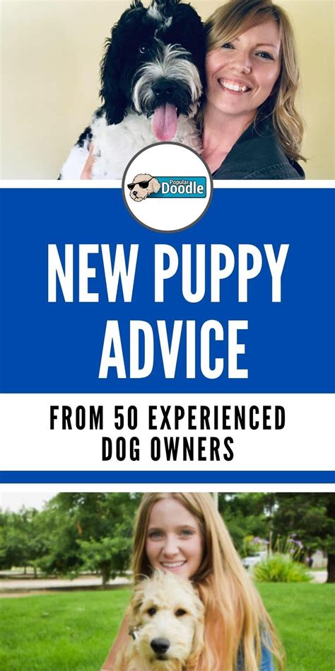 Whether Youre A New Puppy Owner Or Have Years Of Experience Under Your