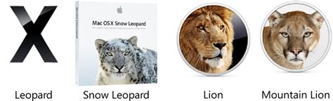 Upgrading Snow Leopard To Mountain Lion