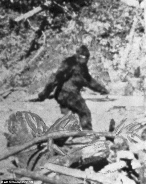 The Myth Behind Australias Bush Monster The Yowie Daily Mail Online