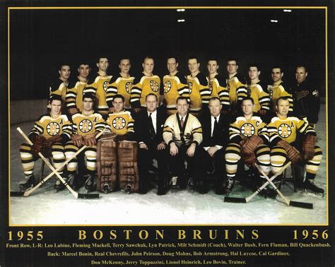 195556 Boston Bruins Season Ice Hockey Wiki Fandom