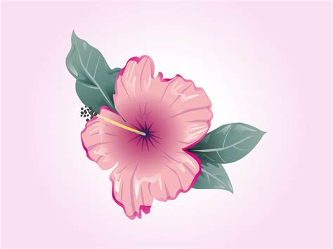 Download free static and animated hibiscus vector icons in png, svg, gif formats. Hibiscus Vector