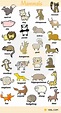 Learn Animal Names in English - ESLBuzz Learning English