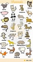 List Of Mammals: Useful Mammal Names With Pictures - 7 E S L
