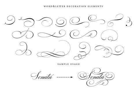 43 Calligraphic Flourishes Bundle Hand Lettering Art Flourish
