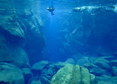 Swimming Between Tectonic Plates In Iceland Chooseticket