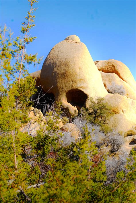 Skull Rock In Joshua Tree National Park A Photo On Flickriver