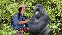 BBC iPlayer - Andys Wild Adventures - Series 1: 6. Mountain Gorillas