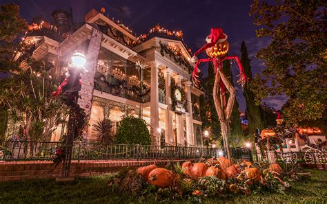 Images Anaheim California Disneyland Usa Scarecrow Pumpkin Halloween