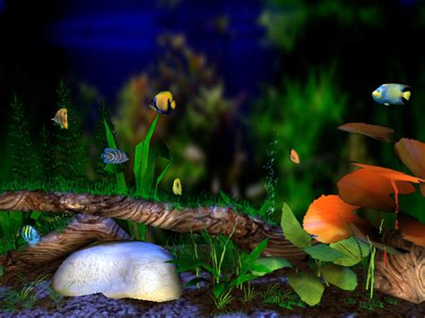 Free Download Animated Aquarium Desktop Wallpaper Wallpapers In