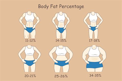 How Much Should I Weigh Ideal Body Weight Calculator For Women And Men 2022
