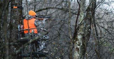 15 Pros And Cons Of Whitetail Deer Hunting In Grand View Outdoors