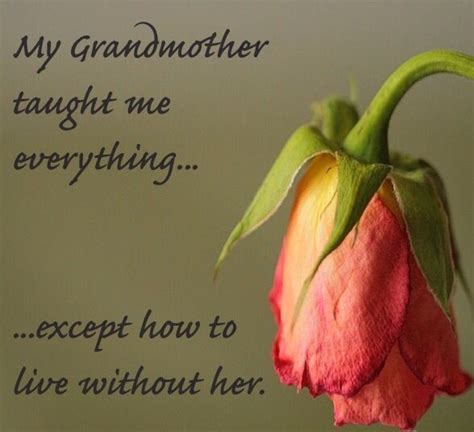 The 25 Best I Miss You Grandma Ideas On Pinterest Miss You To